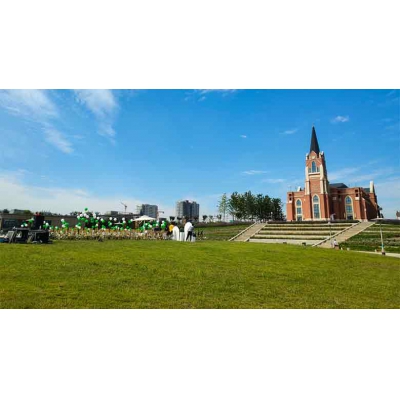 九州洼月季公園玫瑰城堡面向全市誠(chéng)招合作伙伴